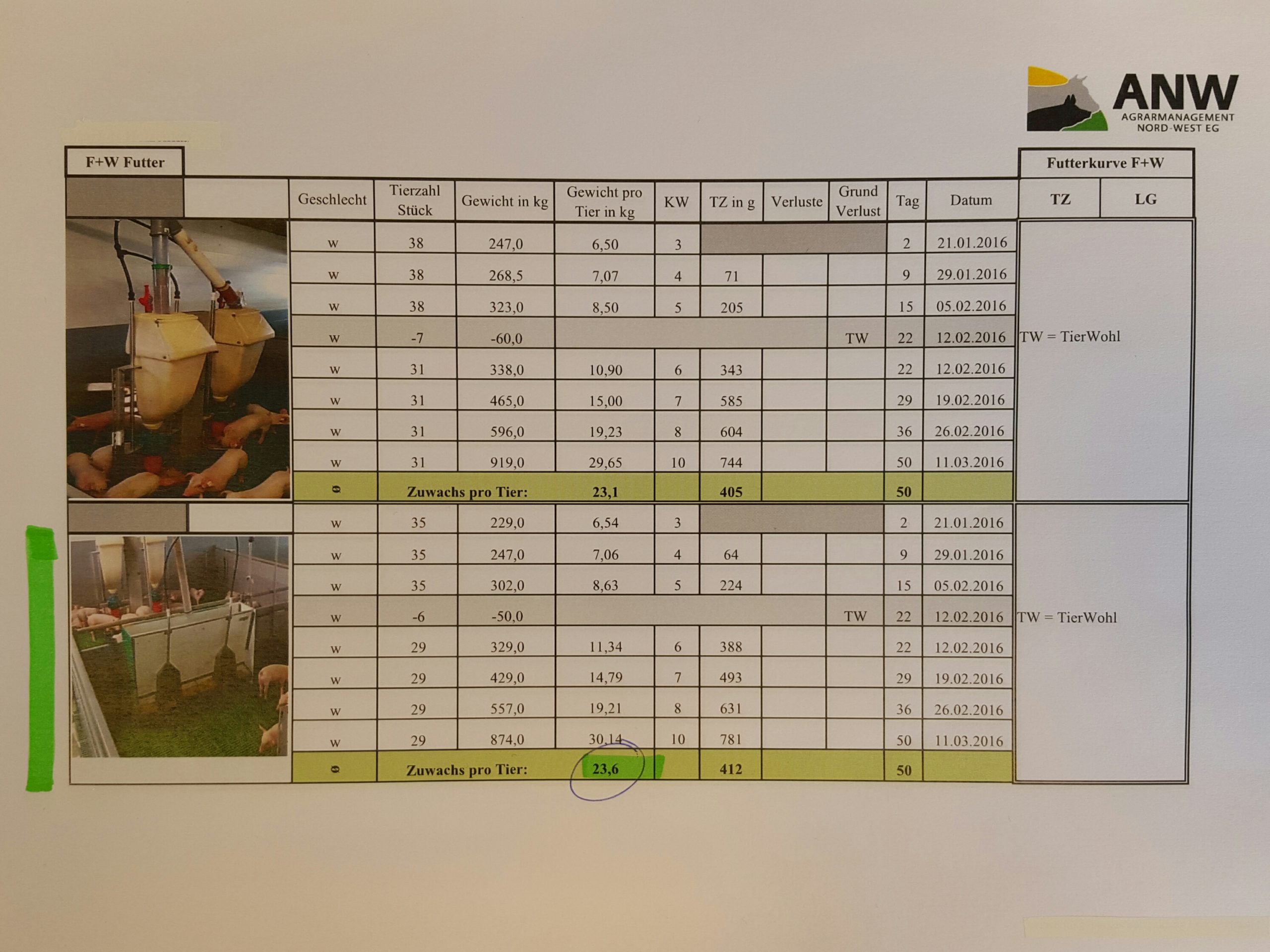 Resultados de las pruebas lechones drowaco